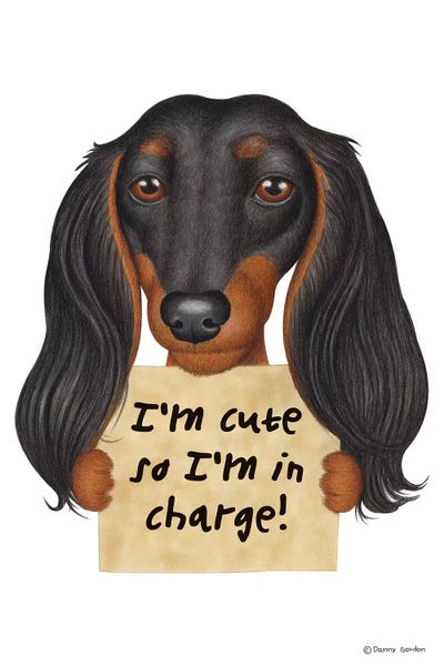 Dachshunds: Dachshund I'm Cute Long, Hairy Ears by Danny Gordon