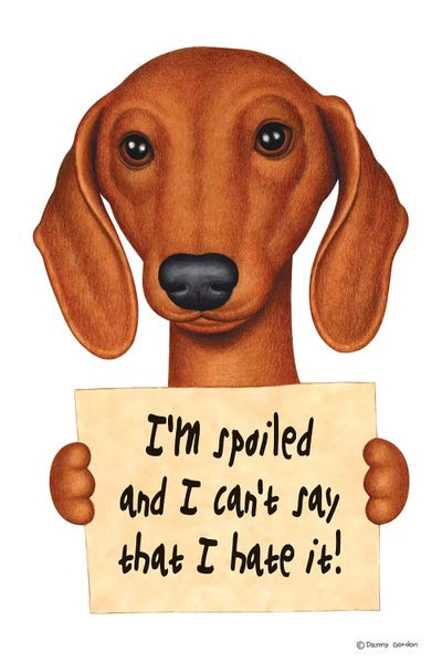 Dachshunds: Dachshund I'm Spoiled by Danny Gordon