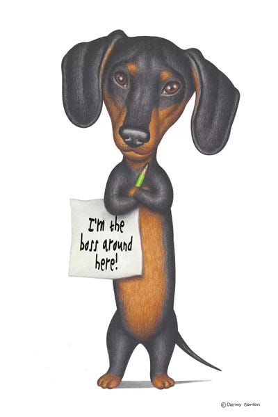 Dachshunds: Dachshund I'm The Boss by Danny Gordon