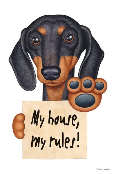 Dachshunds: Dachshund My House by Danny Gordon