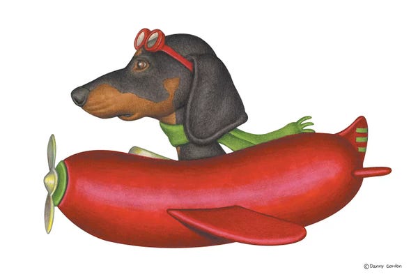 Dachshunds: Dachshund Pilot by Danny Gordon