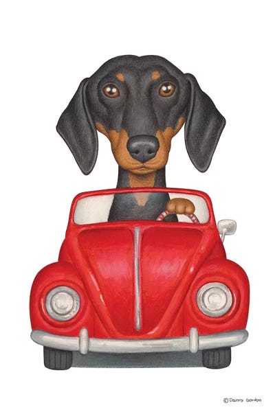 Dachshunds: Dachshund Red Beetle by Danny Gordon