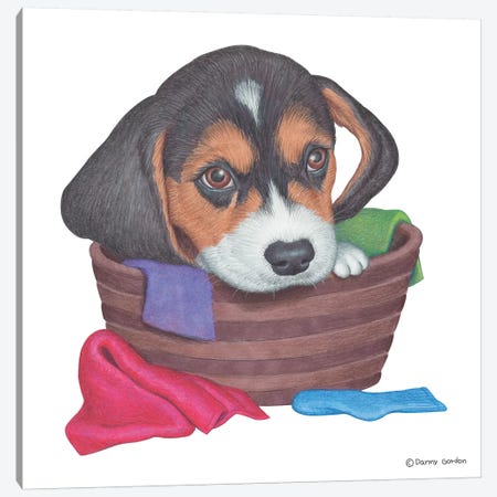 Beagle In Laundry Basket Canvas Print #DNG5} by Danny Gordon Canvas Wall Art