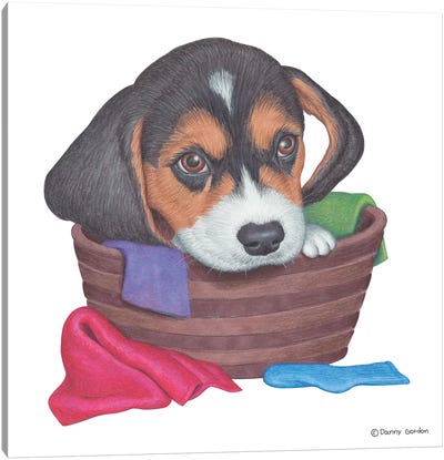 Beagle In Laundry Basket Canvas Art Print - Laundry Room Art
