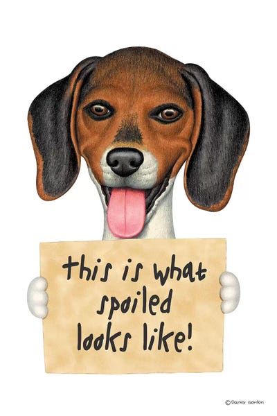 Beagle Spoiled by Danny Gordon metal wall art