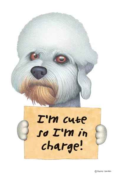 Dandie Dinmont Terriers