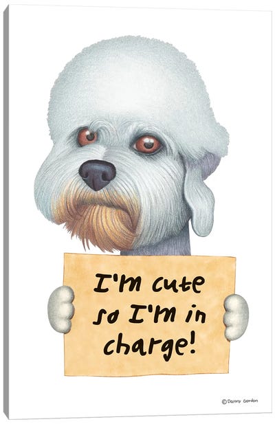 Dandie Dinmont Terrier Canvas Art Print - Danny Gordon
