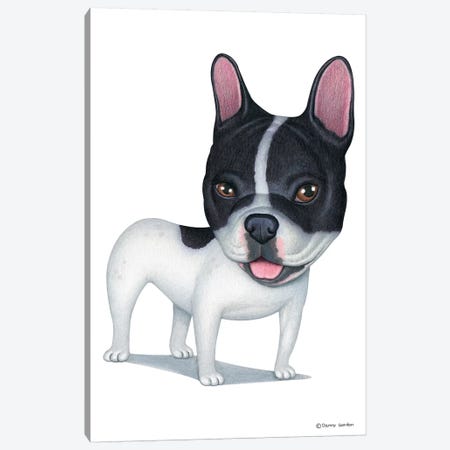 French Bulldog White And Black Canvas Print #DNG68} by Danny Gordon Canvas Print