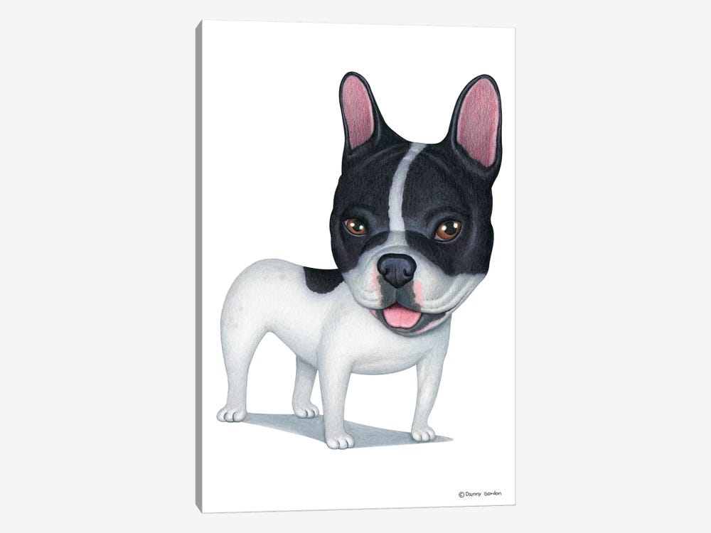 French Bulldog White And Black by Danny Gordon 1-piece Canvas Print