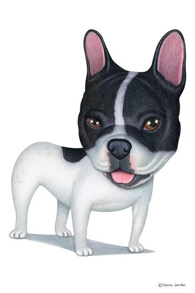French Bulldogs: French Bulldog White And Black by Danny Gordon