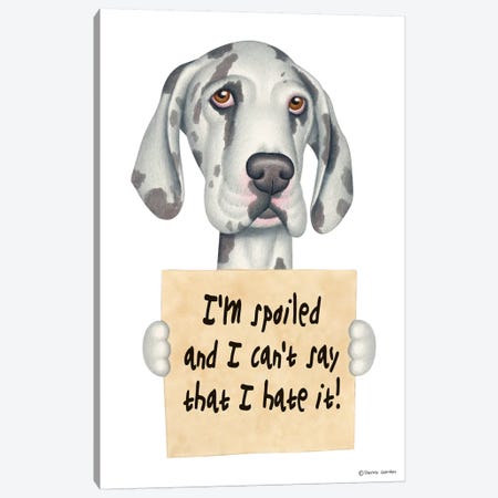 Great Dane I'm Spoiled Canvas Print #DNG69} by Danny Gordon Canvas Print