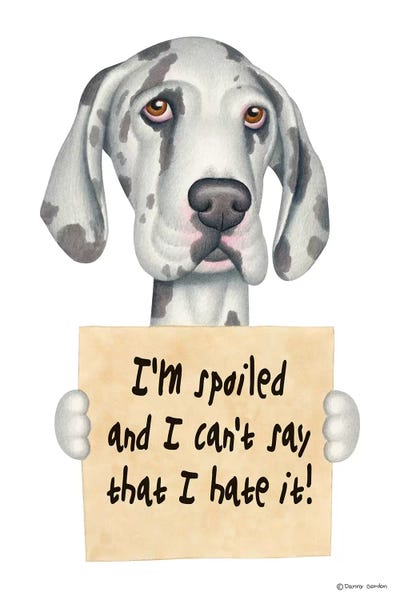 Great Danes: Great Dane I'm Spoiled by Danny Gordon