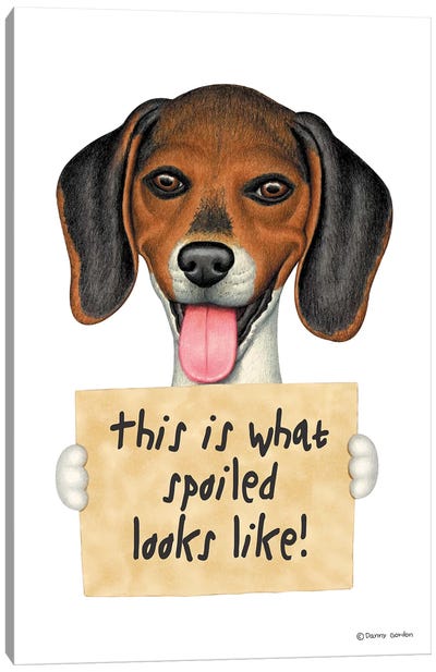 Beagle Spoiled Canvas Art Print - Danny Gordon