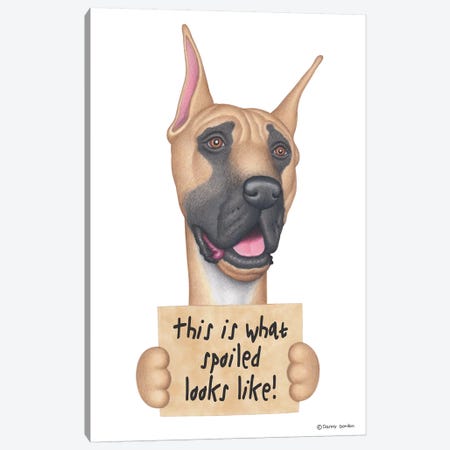 Great Dane Spoiled Looks Like Canvas Print #DNG70} by Danny Gordon Canvas Artwork