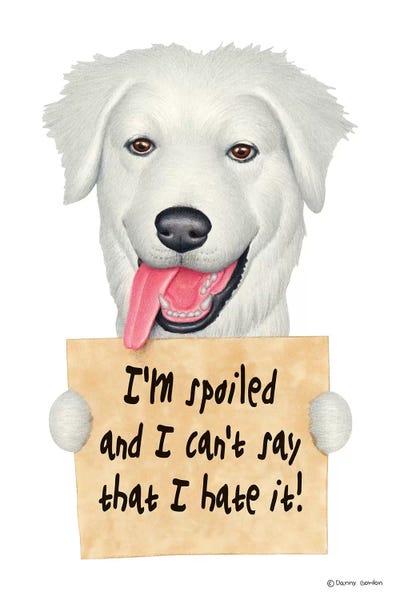 Great Pyrenees by Danny Gordon canvas print