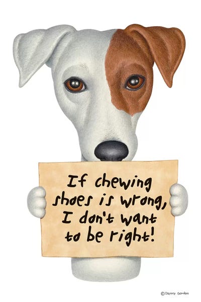 Jack Russell Mix by Danny Gordon canvas print