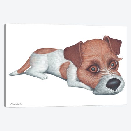 Jack Russell Terrier Canvas Print #DNG73} by Danny Gordon Canvas Wall Art