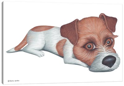 Jack Russell Terrier Canvas Art Print - Danny Gordon