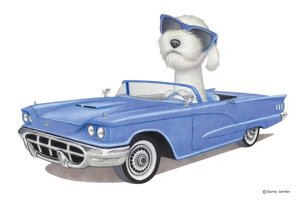 Labradoodles: Labradoodle by Danny Gordon