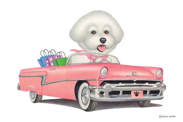 Bichon Frises: Bichon Frise by Danny Gordon