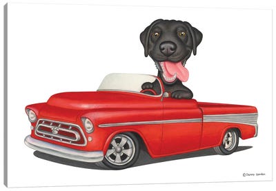 Labrador Retriever Red Car Canvas Art Print - Danny Gordon