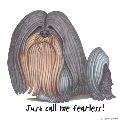 Lhasa Apso by Danny Gordon framed wall art