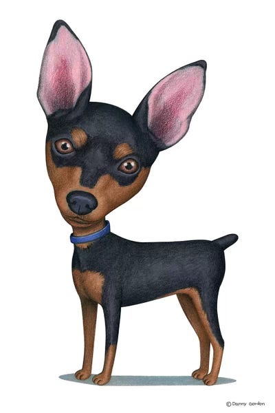Miniature Pinschers: Miniature Pinscher by Danny Gordon