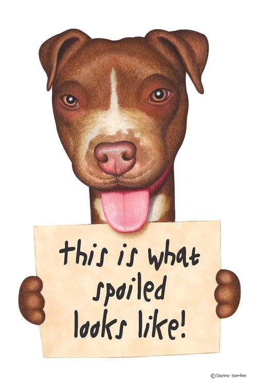 Pit Bull by Danny Gordon wall art