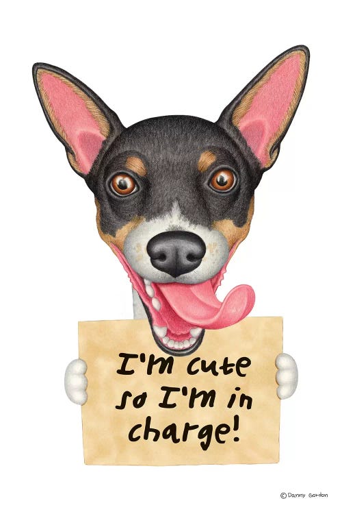 Rat Terrier