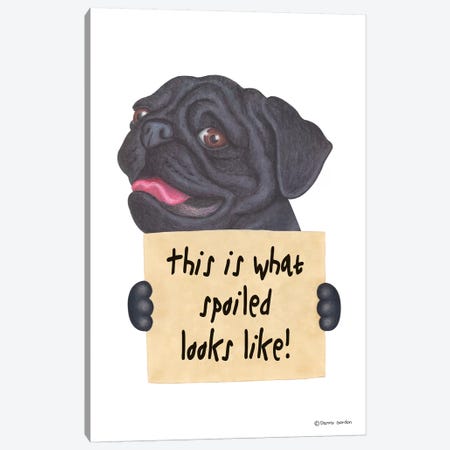Black Pug Canvas Print #DNG8} by Danny Gordon Art Print