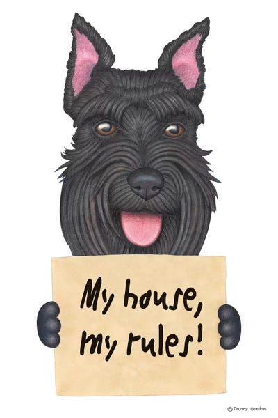 Schnauzer My House