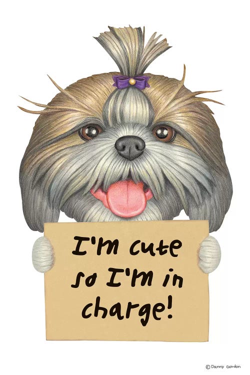 Shih Tzu I'm Cute by Danny Gordon wall art