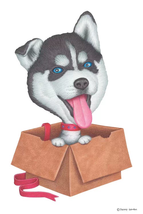 Siberian Husky by Danny Gordon wall art