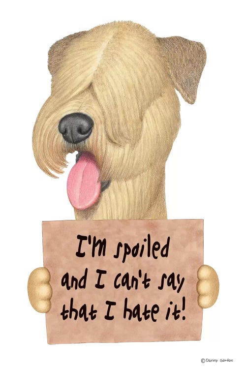 Wheaten Terrier by Danny Gordon wall art