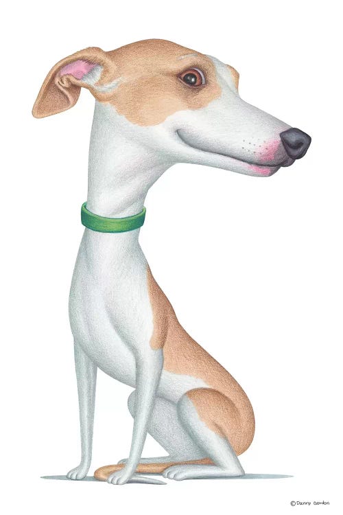 Whippet by Danny Gordon wall art