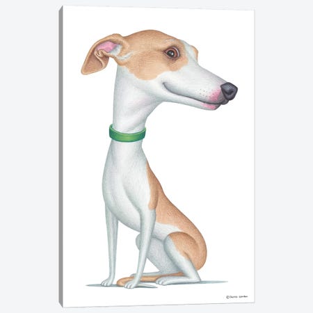 Whippet Canvas Print #DNG98} by Danny Gordon Canvas Artwork