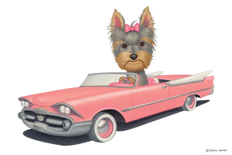 Yorkshire Terrier Pink Car by Danny Gordon wall art