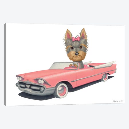 Yorkshire Terrier Pink Car Canvas Print #DNG99} by Danny Gordon Canvas Art