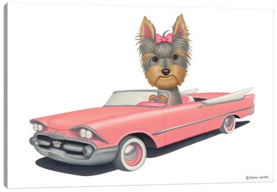 Yorkshire Terrier Pink Car Canvas Art Print - Yorkshire Terrier Art
