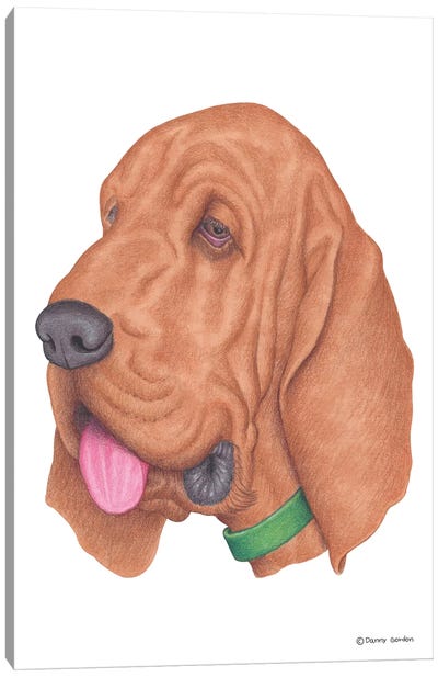 Bloodhound Canvas Art Print