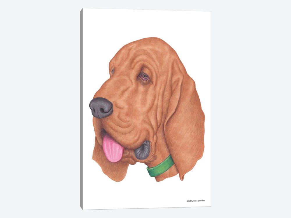 Bloodhound by Danny Gordon 1-piece Canvas Wall Art