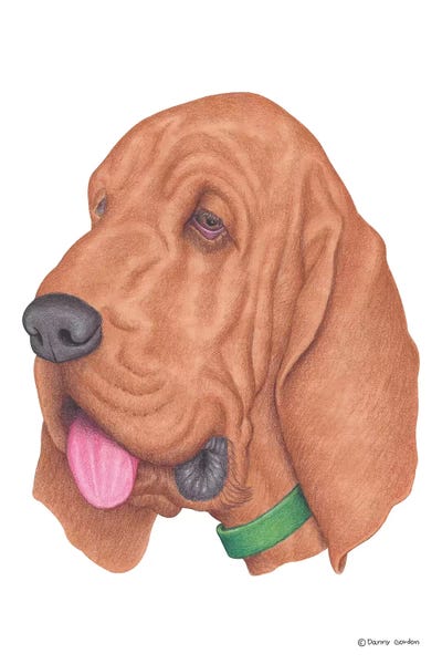 Bloodhounds: Bloodhound by Danny Gordon
