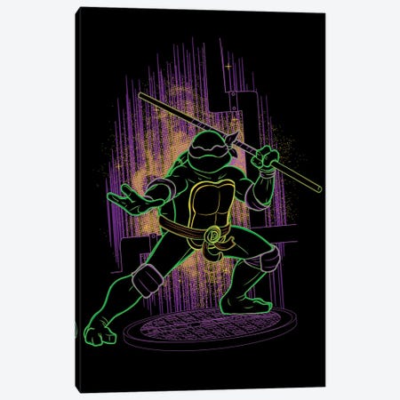 Shadow Of The Purple Ninja Canvas Print #DNI102} by Donnie Art Canvas Art Print