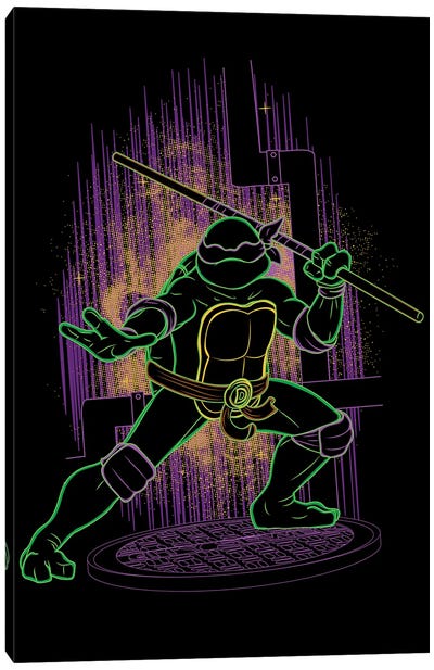 Shadow Of The Purple Ninja Canvas Art Print - Animated & Comic Strip Character Art