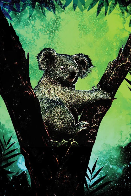 Soul Of The Koala by Donnie Art wall art