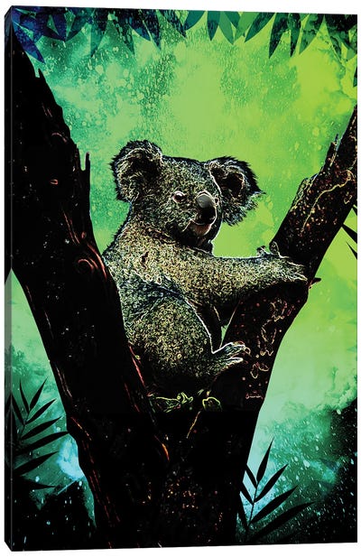 Soul Of The Koala Canvas Art Print - Donnie Art