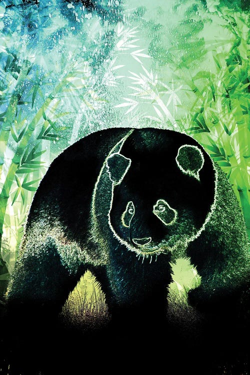 Soul Of The Panda by Donnie Art wall art