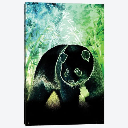 Soul Of The Panda Canvas Print #DNI42} by Donnie Art Canvas Art Print