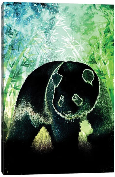 Soul Of The Panda Canvas Art Print - Donnie Art