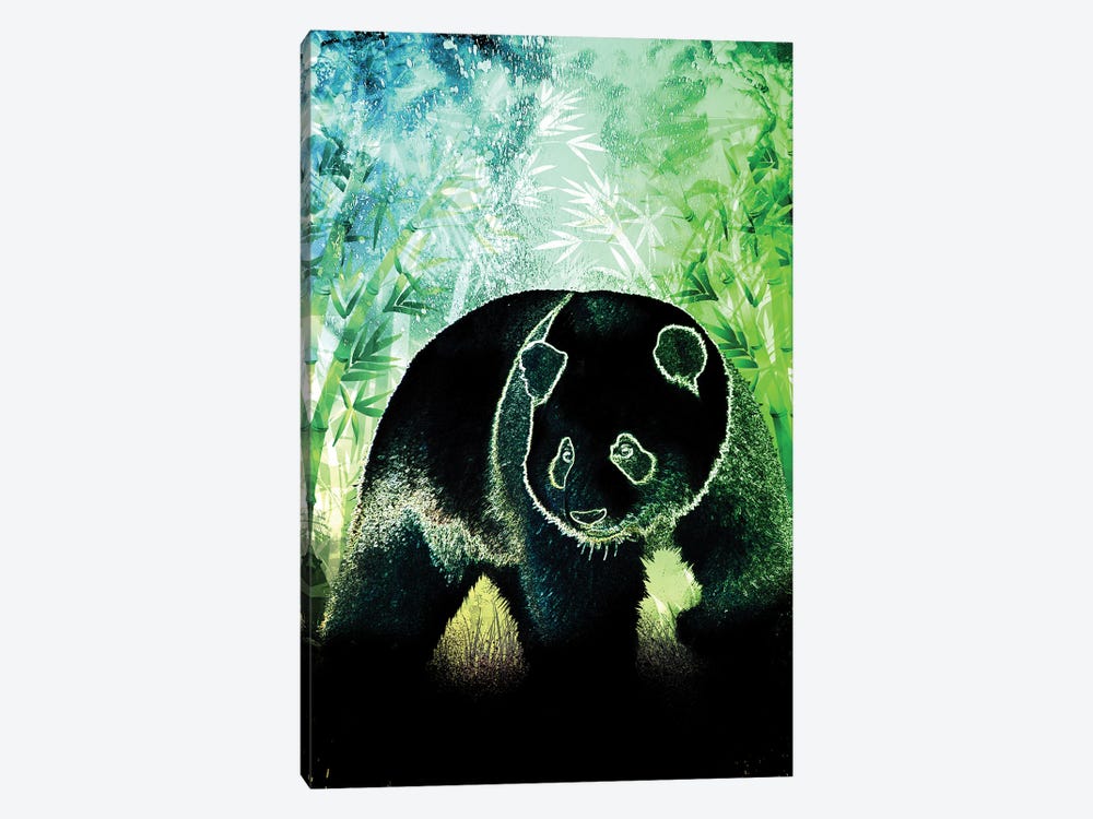 Soul Of The Panda by Donnie Art 1-piece Canvas Artwork